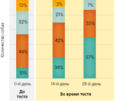 Корм для собак denta stix thumbnail